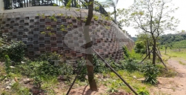 腾博汇游戏官网·(中国)专业效劳,诚信为本