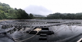 腾博汇游戏官网·(中国)专业效劳,诚信为本